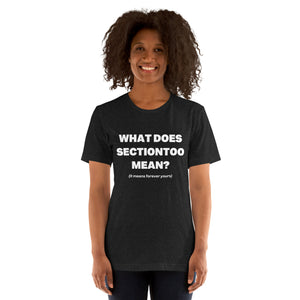 sectiontoo "What Does sectiontoo Mean?" Unisex Premium Tee