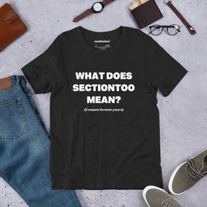 sectiontoo "What Does sectiontoo Mean?" Unisex Premium Tee