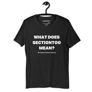 sectiontoo "What Does sectiontoo Mean?" Unisex Premium Tee