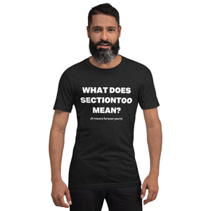 sectiontoo "What Does sectiontoo Mean?" Unisex Premium Tee