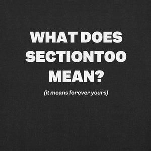 sectiontoo "What Does sectiontoo Mean?" Unisex Premium Tee